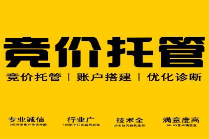Sem优化公司实例：电商流量提升策略